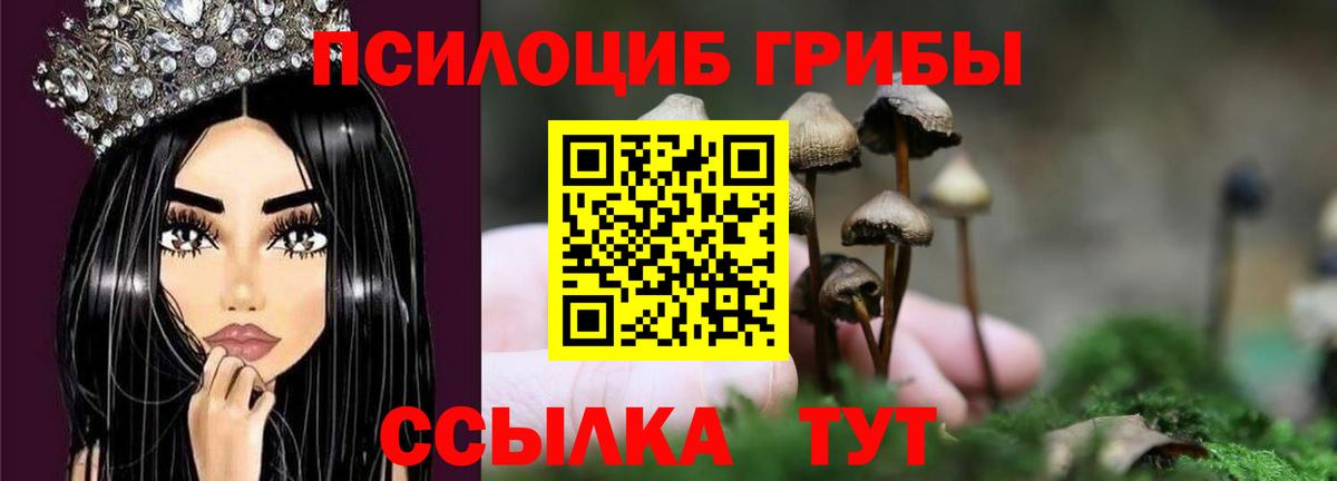 Псилоцибиновые грибы Magic Shrooms  Галлюциногенные грибы MAGIC MUSHROOMS  Серпухов  Вход с VPN 
